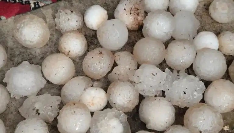 Şanlıurfa’da Kar Topu Büyüklüğünde Doluyla Şok Yaşandı!
