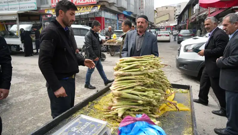 Şekerin Sağlık Faydaları: Kanser ve Mide Hastalıklarına Karşı Etkileri