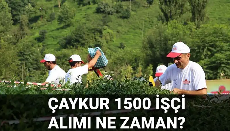 Çaykur İşçi Alımı İçin Başvuru Tarihleri Açıklandı: Fırsatlar Kaçırılmamalı!